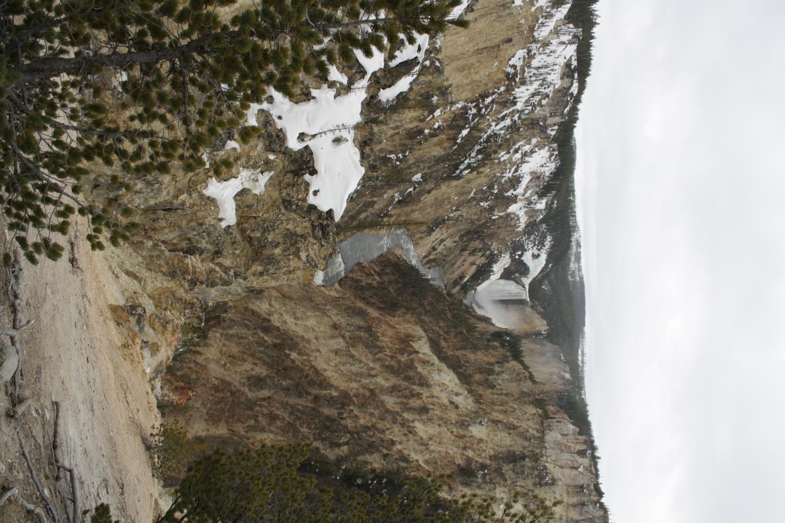 IMG 0528