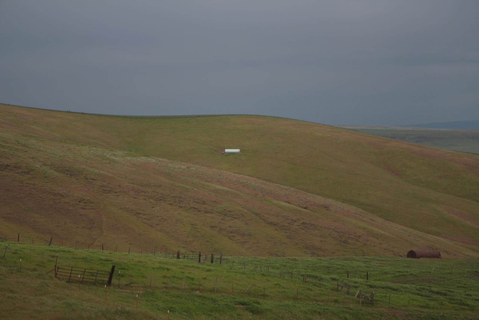 IMG 0700