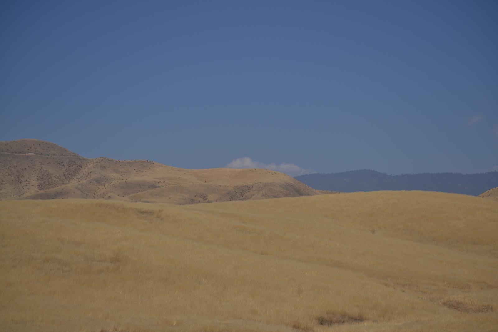 DSC 0049