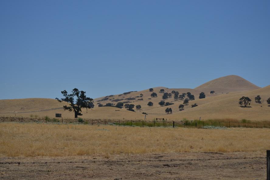 sDSC 0142