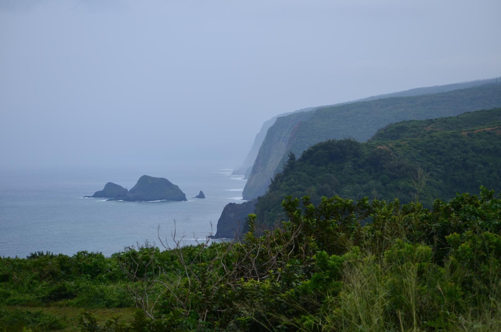 DSC 0175
