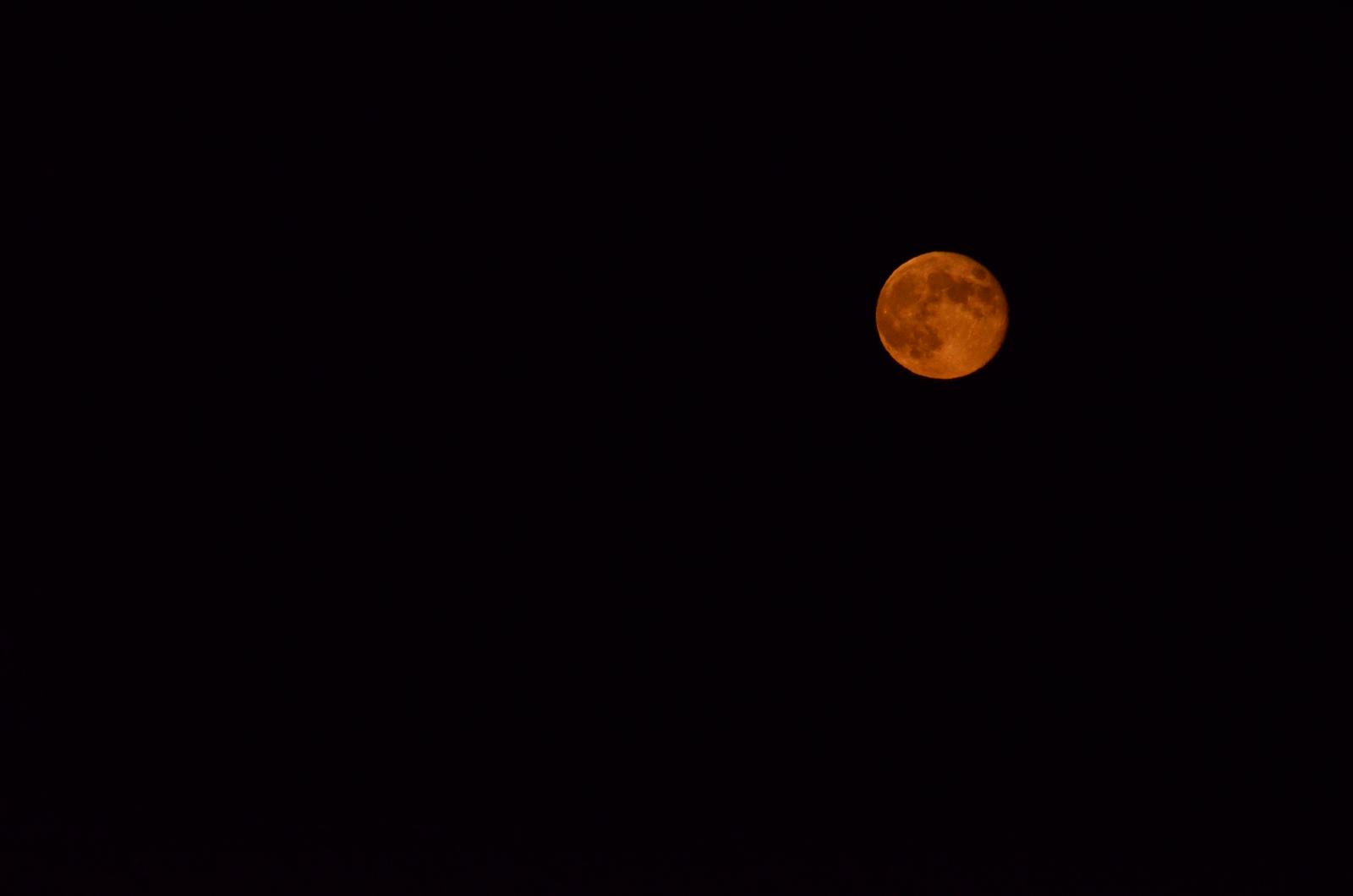 DSC 0118
