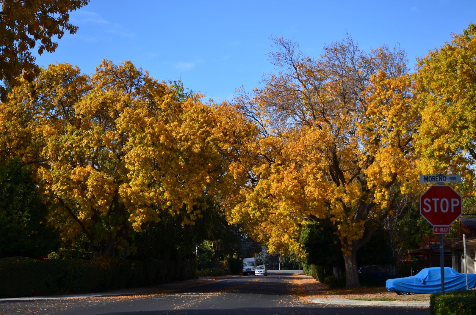 DSC 0166