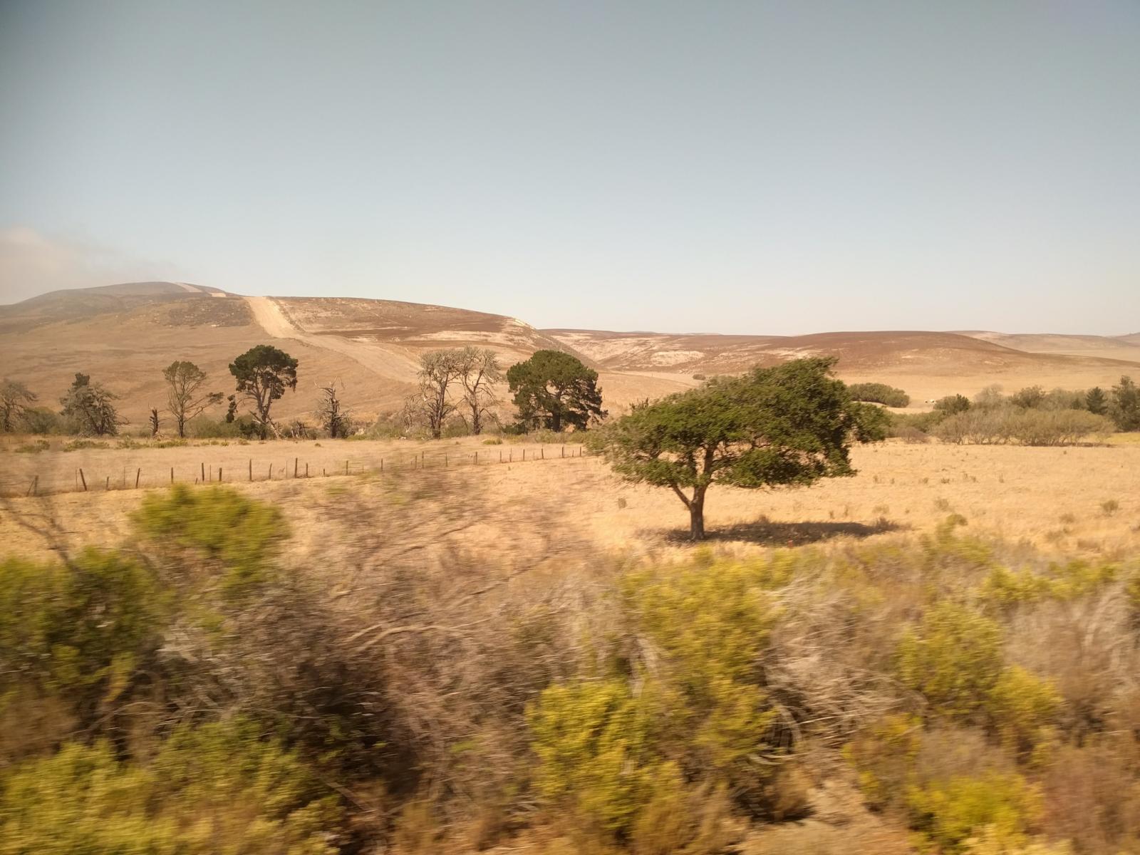 IMG 20160907 142716