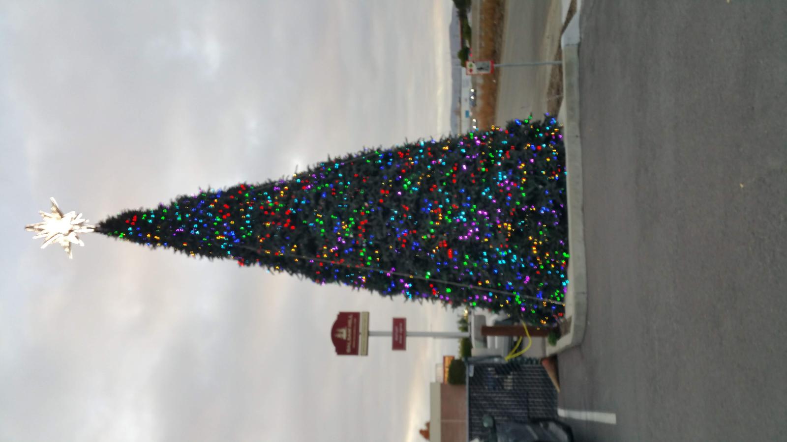 christmastree20191209 163803