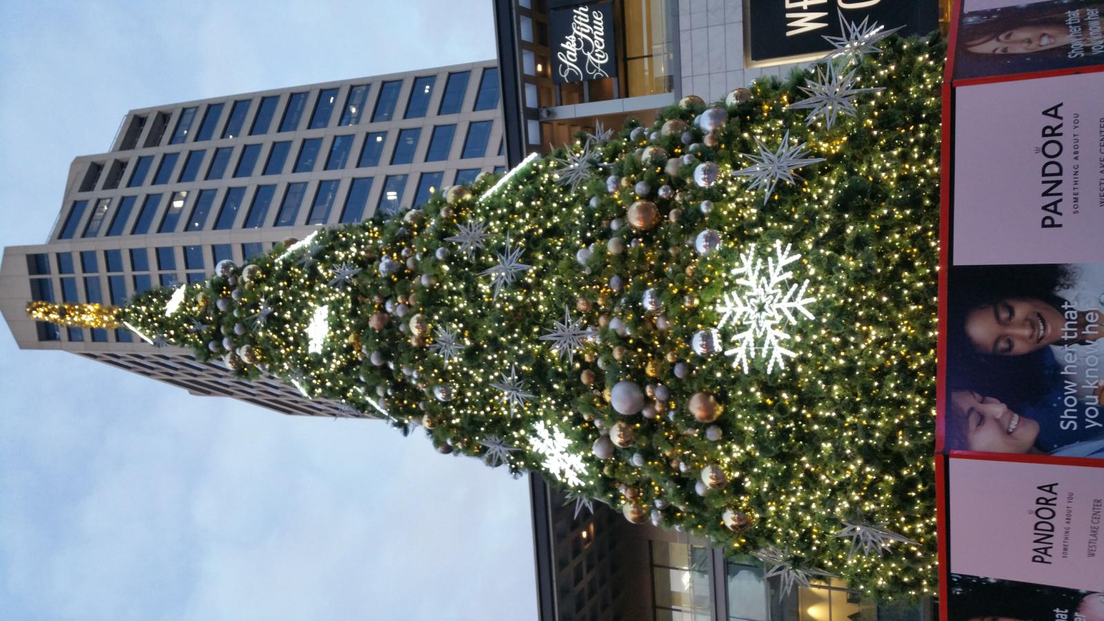 christmastreeseattle20191202 161955