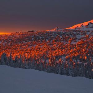 sunset225104b