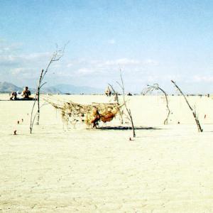 burningmanDryTree