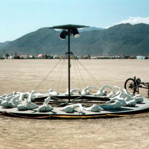 burningmanSwimcircle