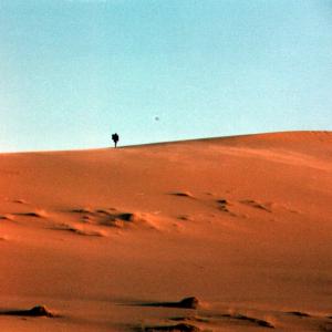 sandDune04112003-4