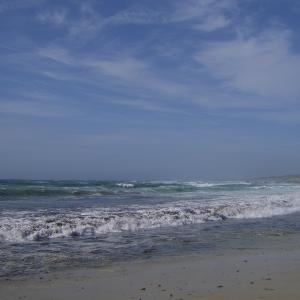 photos