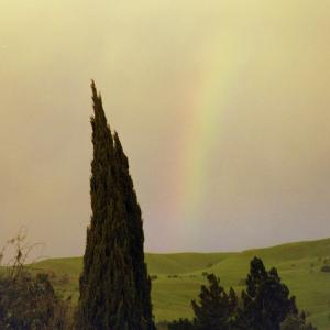 milpitashomeRainbow04082003