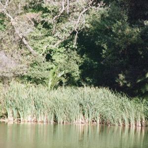 ohloneLake1