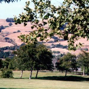 sanjoselibaryMountain