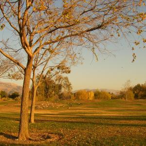 BerryassaPark11202005