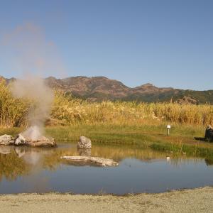 GeyserAtCalistoga102005