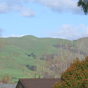 Stanford