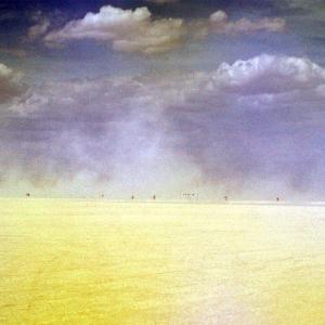 burningmanPlaya