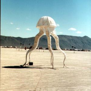 burningmanWhitesquit