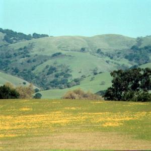 SanJoseCA01