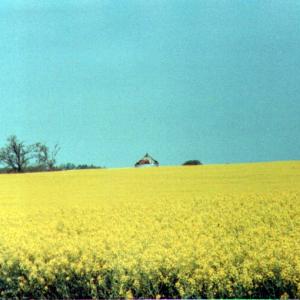 kentuky01