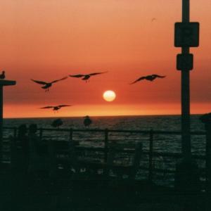 santaMonica02