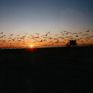 santaMonica07
