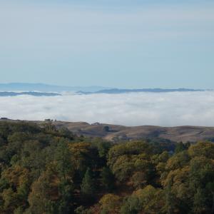 DSC 0010