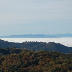 DSC 0012