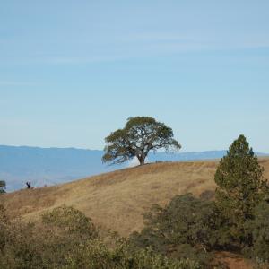 DSC 0024
