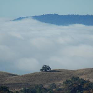 DSC 0034