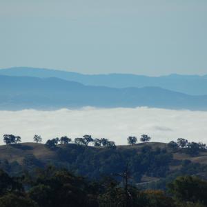 DSC 0036