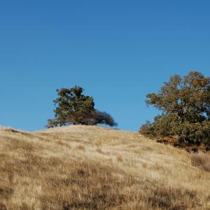 DSC 0085