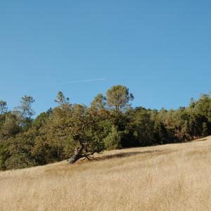 DSC 0089