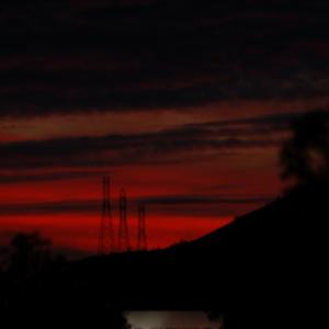 DSC 0010