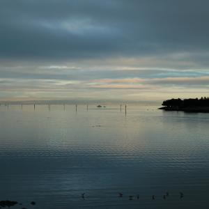 DSC 0036