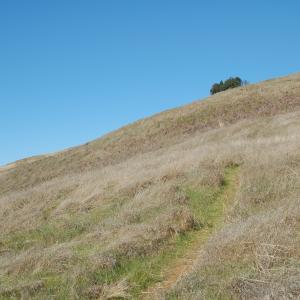 DSC 0009