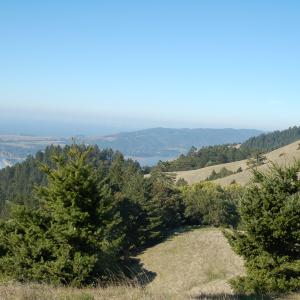 DSC 0017