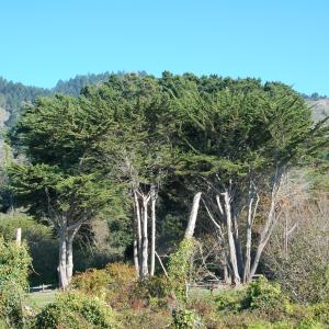 DSC 0058