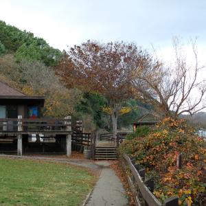 DSC 0185