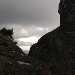 DSC 0202