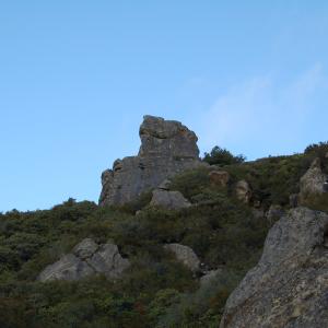 DSC 0272