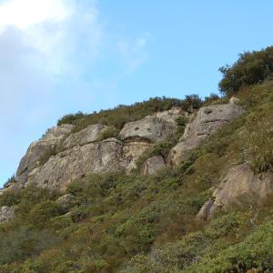 DSC 0302