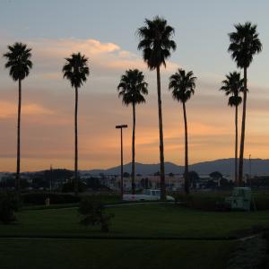 DSC 0548