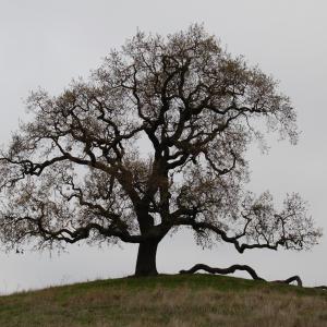 DSC 0558