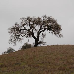 DSC 0567