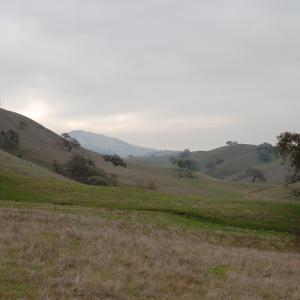 DSC 0600
