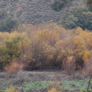 DSC 0675