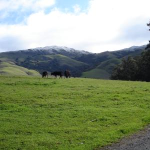 DSC00533