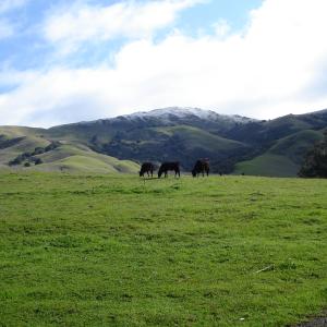 DSC00535